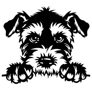 Sevimli Siyah ve Beyaz Köpek İfadesi Oyuncu İfadesiyle