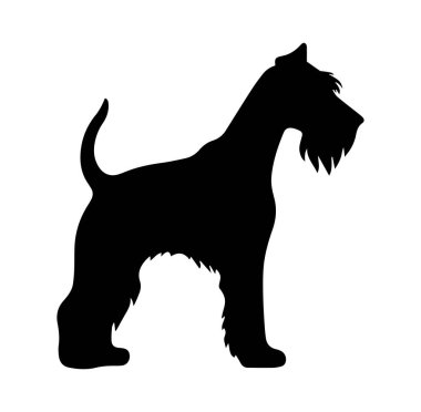 Yükseltilmiş Kuyruklu Bir Köpeğin Silueti Profilde Duruyor