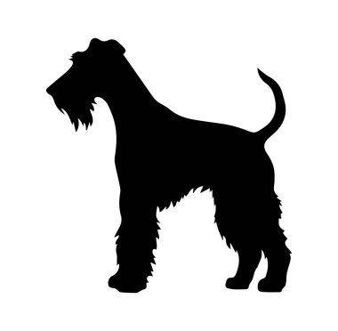 Yumuşak Kürklü ve Uzun Kuyruklu Bir Köpeğin Silueti