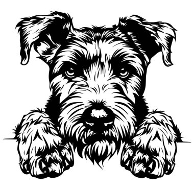 Büyük Gözlü Bir Köpeğin Siyah ve Beyaz Çizimi