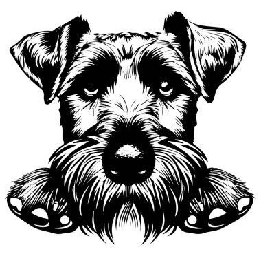 Ayrıntılı Siyah-Beyaz Köpek Yüzü