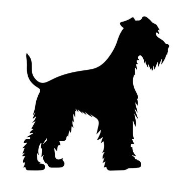 Profil Görünümünde Duran Oyuncu Köpeğin Silueti