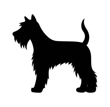 Yumuşak Kürklü ve Kuyruklu Neşeli Köpeğin Silueti