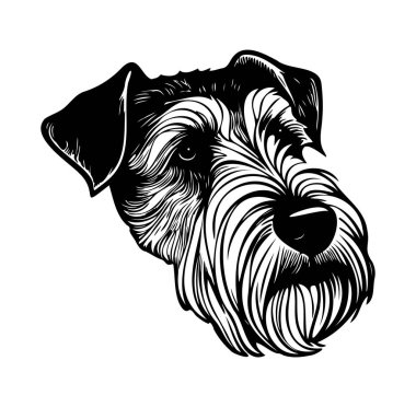 Siyah-Beyaz Bir Köpek Başı 'nın Ayrıntılı Resimleri