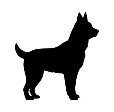 Beyazlara Karşı Gururla Duran Bir Köpeğin Siyah Silueti