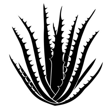 Keskin Yapraklı Aloe Vera Bitkisinin Siyah Silueti