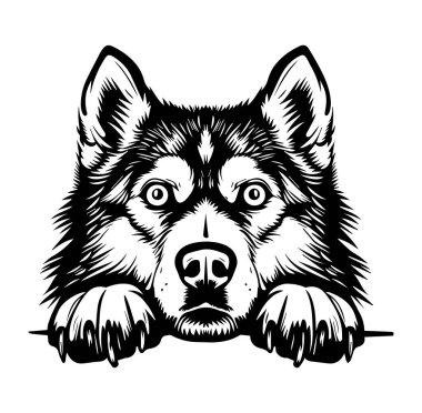 İfadeli Köpek Başı 'nın Siyah ve Beyaz Çizimi