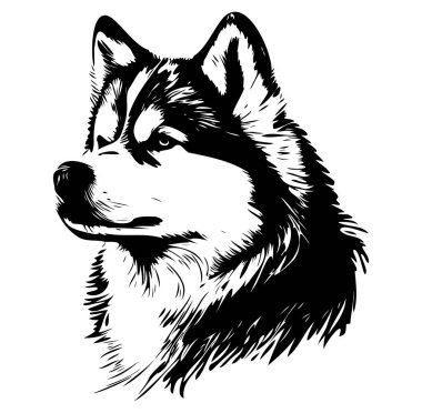 Görkemli Sibirya Husky Köpeğinin Siyah ve Beyaz İllüstrasyonu