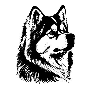 Görkemli Köpek Başının Siyah ve Beyaz Silueti