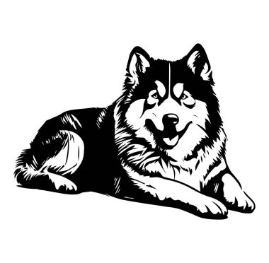 Rahat Bir Köpeğin Siyah-Beyaz Gösterimi