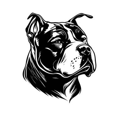 Ayrıntılı Siyah-Beyaz Köpek Başı Görünümü