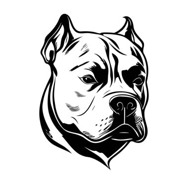 Siyah ve Beyaz Giyen Güçlü Bir Köpeğin Detaylı Resimleri