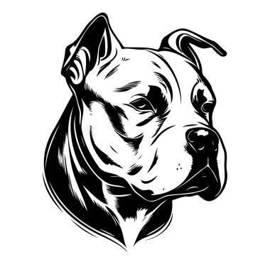 Bir Köpek Başının Zarif Siyah ve Beyaz Portresi