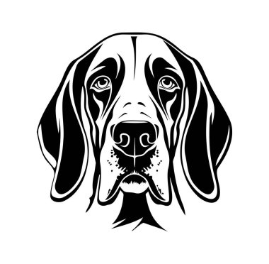 Bir Köpeğin Başının Siyah ve Beyaz ResimleriName