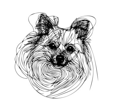 Oyuncu Pomsky Yüzünün Sanatsal Çizgisi