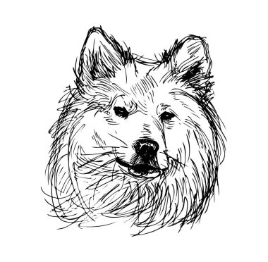 Neşeli Köpek Başının Ayrıntılı Çizimi