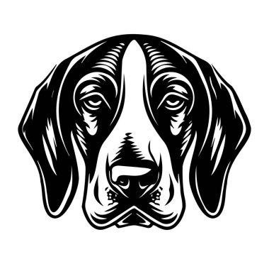 Siyah ve Beyaz Biçimli Bir Köpek Başının Ayrıntılı Portresi