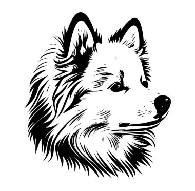 Bir Köpek Portresinin Zarif Siyah ve Beyaz Çizimi