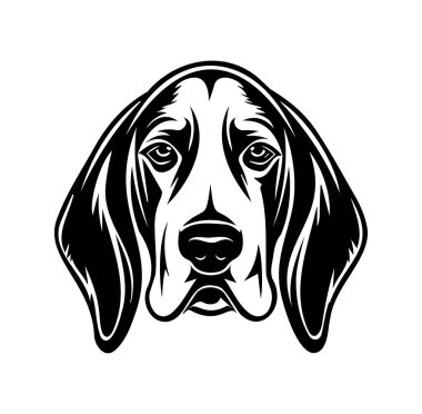 Ayrıntılı Siyah-Beyaz Köpek Başı Görünümü