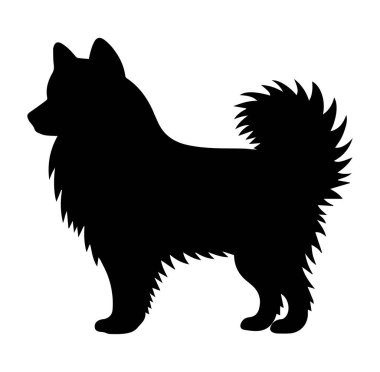 Profil Görünümündeki Pomeranian Köpeğinin Silueti