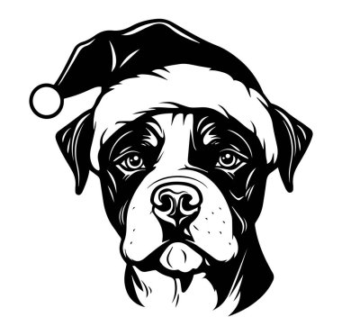 Siyah ve Beyaz Noel Baba Şapkası Giyen Köpek Fotoğrafı