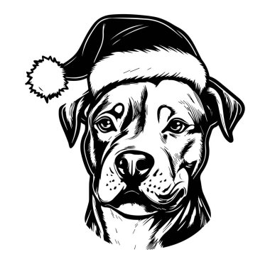 Siyah ve Beyaz Noel Baba Şapkası Giyen Köpek Fotoğrafı