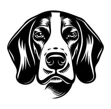 Bir Köpek Başı 'nın Siyah ve Beyaz Çizimi