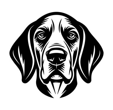 Siyah ve Beyaz Bir Köpeğin Başının Ayrıntılı Resimleri