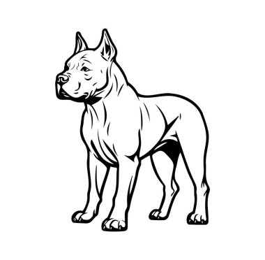 Profil Görünümündeki Güçlü Bir Köpeğin Siyah ve Beyaz Özeti