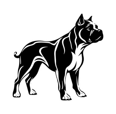 Ayakta Duran Köpeğin Siyah ve Beyaz Görünüşü