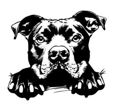 Önü Pençeli Bir Köpeğin Siyah ve Beyaz Çizimi