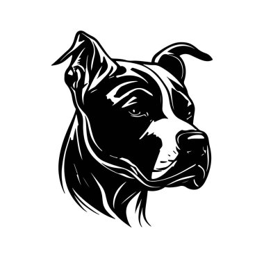 Pit Bull Dog Head 'un Siyah ve Beyaz Fotoğrafı