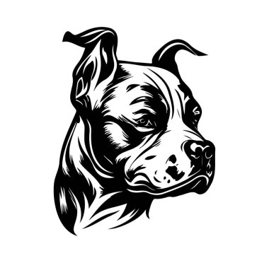 Ayrıntılı Siyah-Beyaz Köpek Başı Görünümü