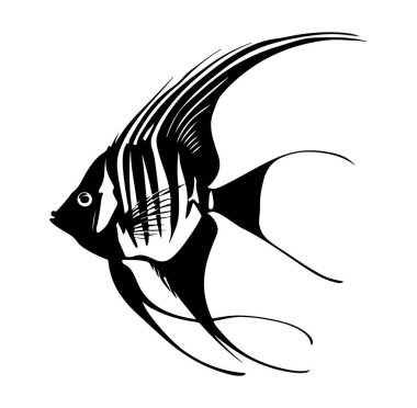 Melek Balığının Zarif Siyah ve Beyaz Fotoğrafı