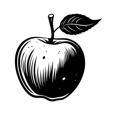 Taze Elmanın Zarif Siyah ve Beyaz ResmiComment