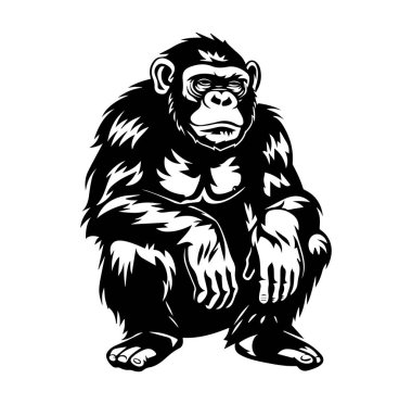 Görkemli Şempanze Düşünce ve Düşünce içinde Oturuyor