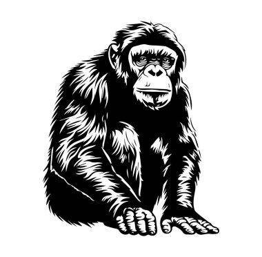 Siyah ve Beyaz Giyen Oturan Goril 'in Detaylı Çizimi