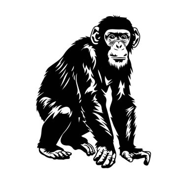 Siyah ve Beyaz Şempanze Biçimlendirilmiş Vektör Sanatında Oturuyorlar