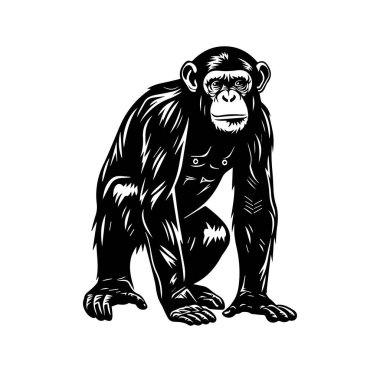 Ayakta Duran Şempanze 'nin Siyah ve Beyaz Sanatsal İllüstrasyonu