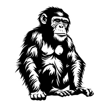 Ayrıntılı Özellikleri Olan Oturan Maymun Çizimi