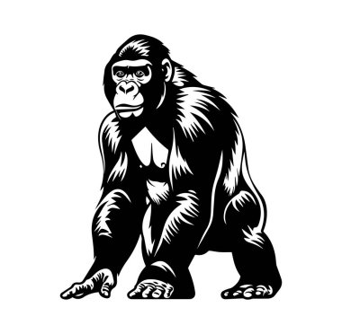 Görkemli Goril Doğal Yaşam Alanında Oturuyor