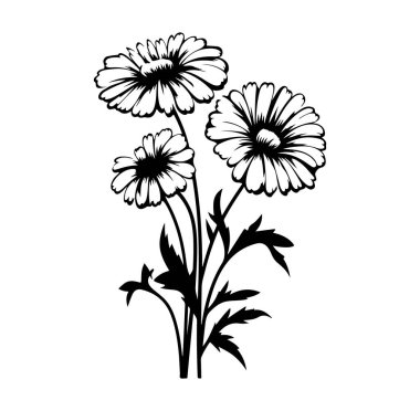 Üç Hassas Çiçekli Siyah ve Beyaz Çiçek Tasarımı