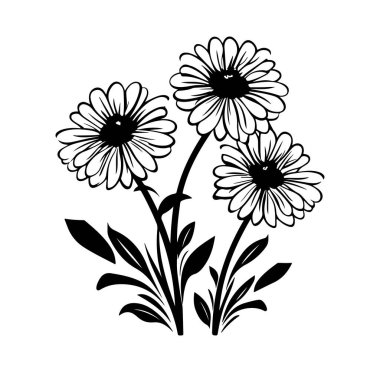 Üç Papatya Çiçekli El Çizimi Çiçek Tasarımı