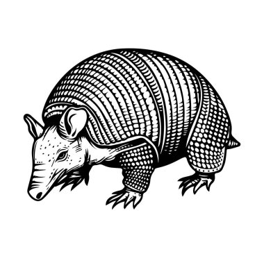 Detaylı Siyah ve Beyaz Biçimli Armadillo Resimleri