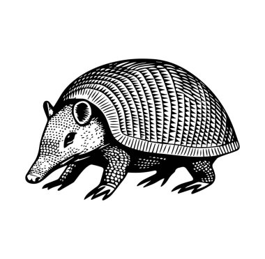 Klasik Tasarım Armadillo 'nun Detaylı Resimleri