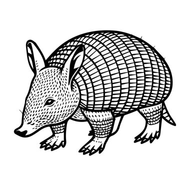 Siyah ve Beyaz Biçimli Bir Armadillo 'nun Detaylı Satır Sanatı