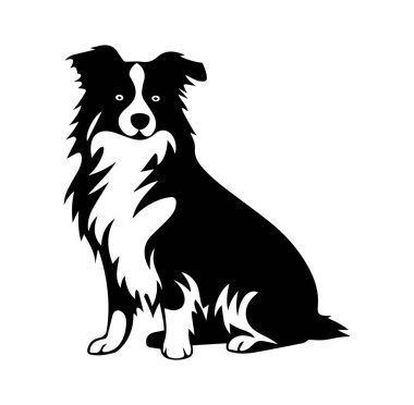 Bir Collie Köpeğinin Siyah ve Beyaz Silueti Huzur içinde Oturuyor