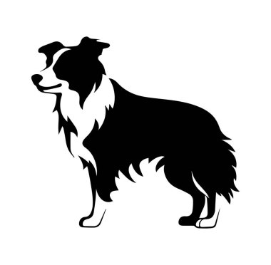 Siyah ve Beyaz Tasarımlı Bir Köpeğin Zarif Silueti