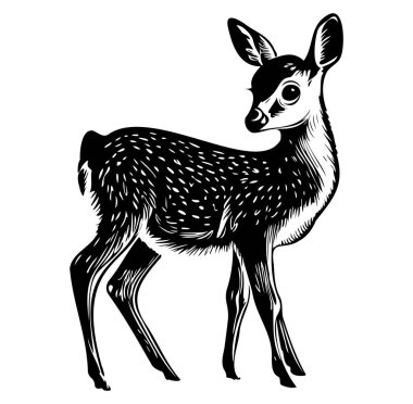 Şirin Genç Geyik Sanatsal Siyah ve Beyaz Tarzında Duruyor