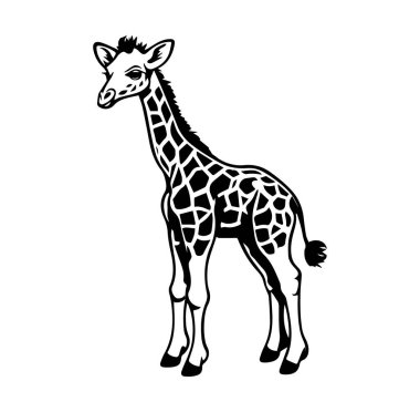 Siyah ve Beyaz Biçimli Sevimli Zürafa Resimleri